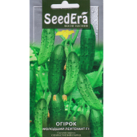 Огірок Молодший лейтенант F1 SeedEra 10шт купить