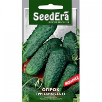 Огірок Три танкісти F1 Seedera 10шт купить