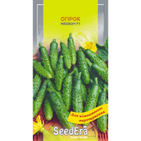 Огірок балконний Махаон F1 Seedera 10шт купить
