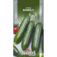 Огірок Бухара F1 Seedera 10шт купить