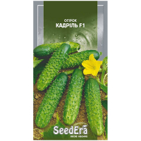 Огірок Кадриль F1 Seedera 10шт купить