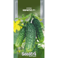 Огірок Карапуз F1 Seedera 10шт купить