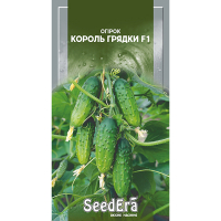 Огірок Король грядки F1 Seedera 10шт купить