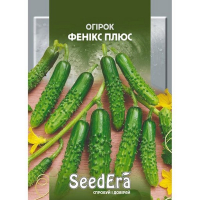 Огірок Фенікс плюс Seedera 20г купить
