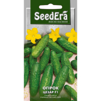 Огірок ЦЕЗАР F1 Seedеra, 5 г купить