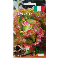 Салат головчастий червоний Тренто 1г купить