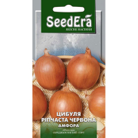 Цибуля ріпчаста червона Амфора 1 г купить