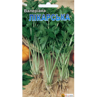Валеріана лікарська 0.1г купить