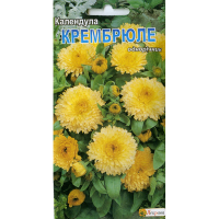 Календула Крембрюле 0.5г купить