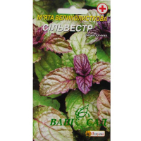 М'ята крупнолистова Сільвестр 0,05г купить