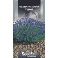 Лаванда англійська вузьколиста Хідкот Seedera, 0,1 г купить