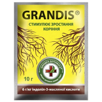 Грандіс 10г кореневин купить