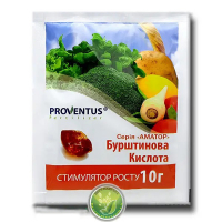 Бурштинова кислота (Провентус)10г купить