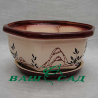 Бонсай №1 роспись купить