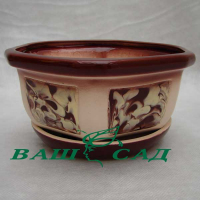 Бонсай №3 розпис купить