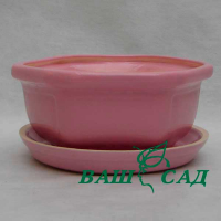 Бонсай №3 глазурь купить