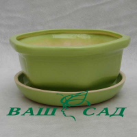 Бонсай №4 глазурь купить