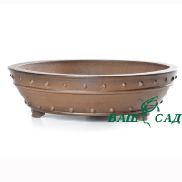 Вазон для бонсай купить