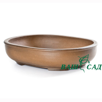 Вазон для бонсай купить