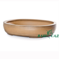 Вазон для бонсай купить