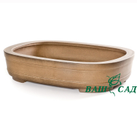 Вазон для бонсай купить