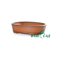 Вазон для бонсай купить