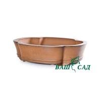Вазон для бонсай купить
