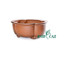 Вазон для бонсай купить