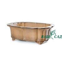 Вазон для бонсай купить