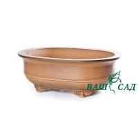 Вазон для бонсай купить