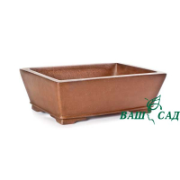 Вазон для бонсай купить