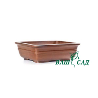 Вазон для бонсай купить