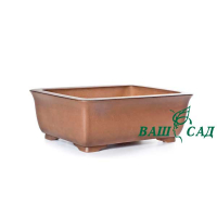 Вазон для бонсай купить