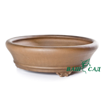 Вазон для бонсай купить