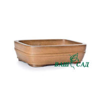 Вазон для бонсай купить