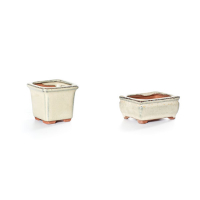 Вазон для бонсай купить