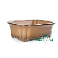 Вазон для бонсай купить