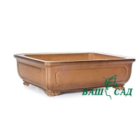 Вазон для бонсай купить