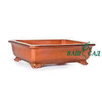 Вазон для бонсай купить