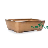 Вазон для бонсай купить