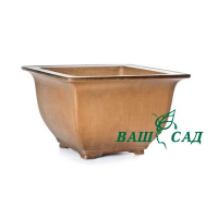Вазон для бонсай купить