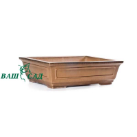 Вазон для бонсай купить