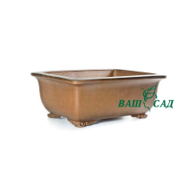 Вазон для бонсай купить