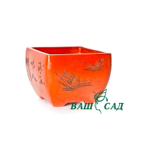 Вазон для бонсай купить