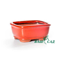 Вазон для бонсай купить