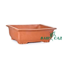 Вазон для бонсай купить