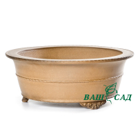 Вазон для бонсай купить