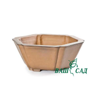 Вазон для бонсай купить