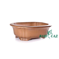 Вазон для бонсай купить