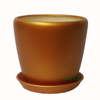 Грація №1 золото купить